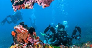 Great Barrier Reef, Queensland