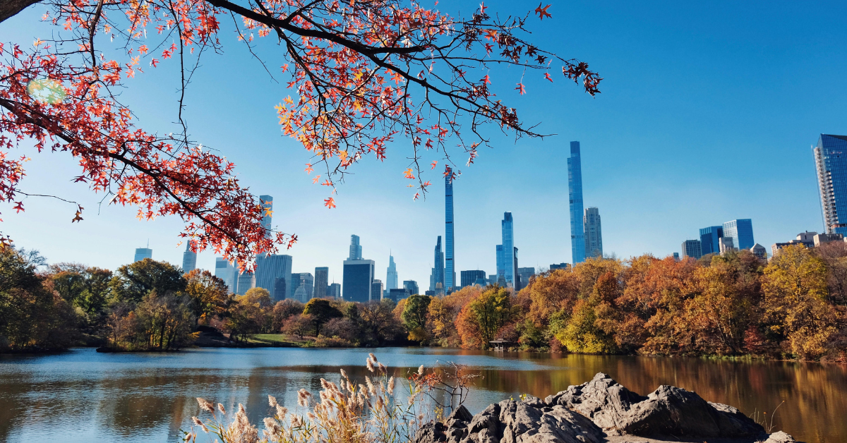 Guide to New York