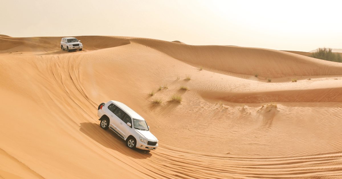 Desert Safari