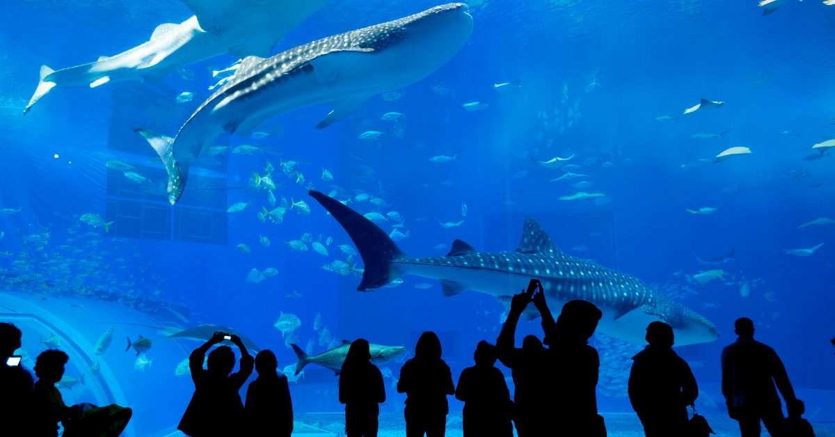 Attractions of Atlanta