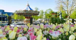 Hidden Temples and Tranquil Gardens Japan