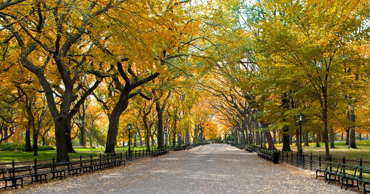 Central Park
