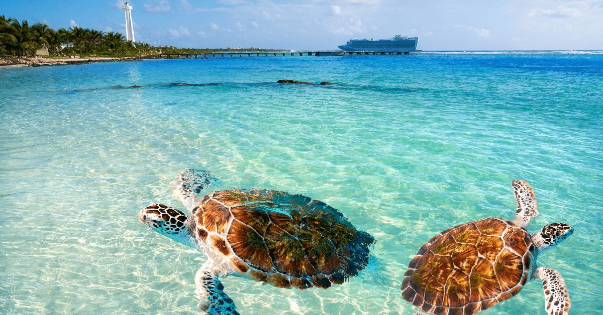 Caribbean