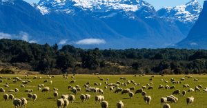 New Zealand’s South Island