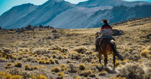 Patagonia, Argentina & Chile