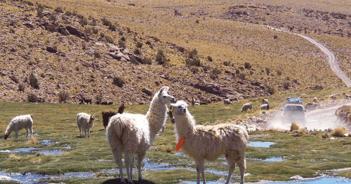 Salar de Uyuni, Bolivia