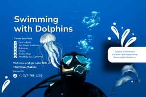 Swimming-with-Dolphins